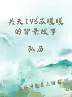 共夫1V3苏暖暖的背景故事