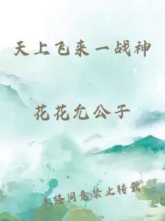 天上飞来一战神