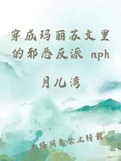 穿成玛丽苏文里的邪恶反派 nph