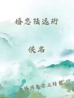 婚恋陆远珩