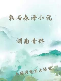 氧与森海小说