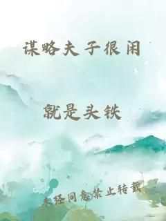 谋略夫子很闲