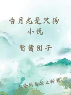 白月光是只狗 小说