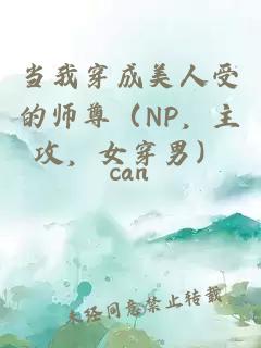 当我穿成美人受的师尊（NP，主攻，女穿男）