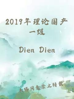 2019年理论国产一级