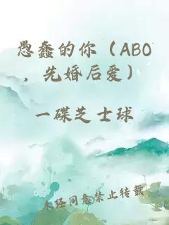 愚蠢的你（ABO，先婚后爱）