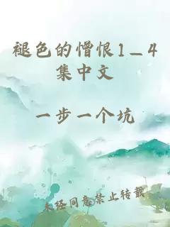 褪色的憎恨1—4集中文