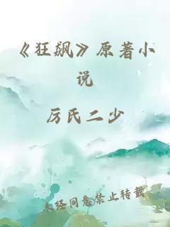 《狂飙》原著小说