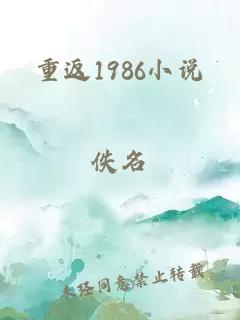 重返1986小说