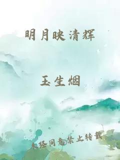 明月映清辉