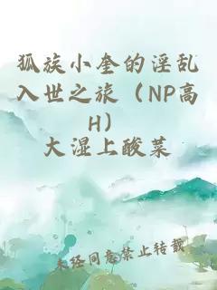 狐族小奎的淫乱入世之旅（NP高H）