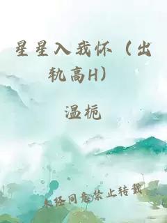 星星入我怀（出轨高H）