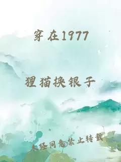 穿在1977