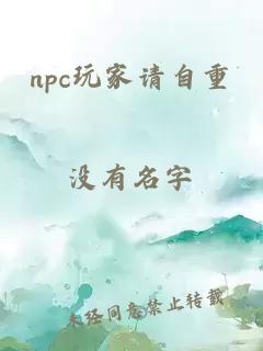 npc玩家请自重