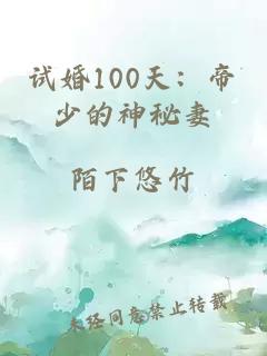 试婚100天：帝少的神秘妻