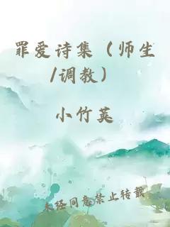 罪爱诗集（师生/调教）