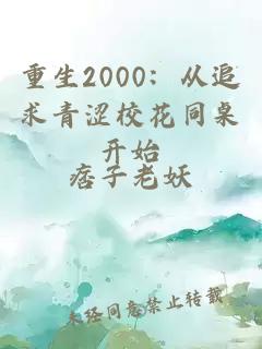 重生2000：从追求青涩校花同桌开始