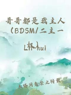 哥哥都是我主人（BDSM/二主一奴）