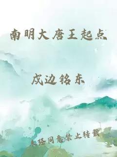 南明大唐王起点