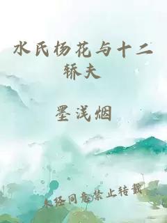 水氏杨花与十二轿夫