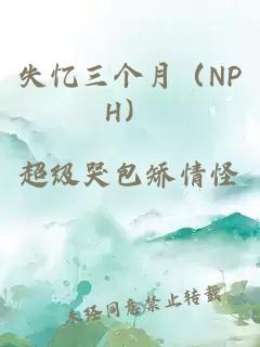 失忆三个月（NPH）