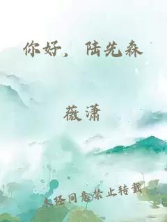 你好，陆先森